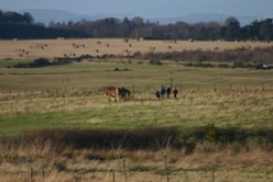 Winter Ploughing with Clydesdale Horses at Earthshare Organic Farm next door